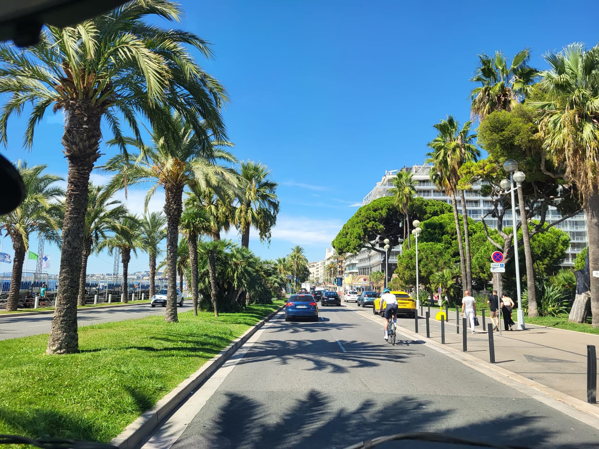 Promenade des palmiers le long de la Riviera française